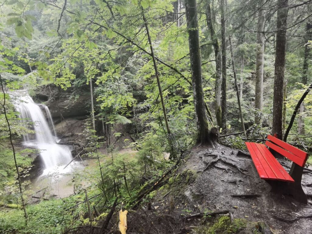 Hasenreuter Wasserfälle - die kostenlose Alternative zu den Scheidegger Wasserfällen