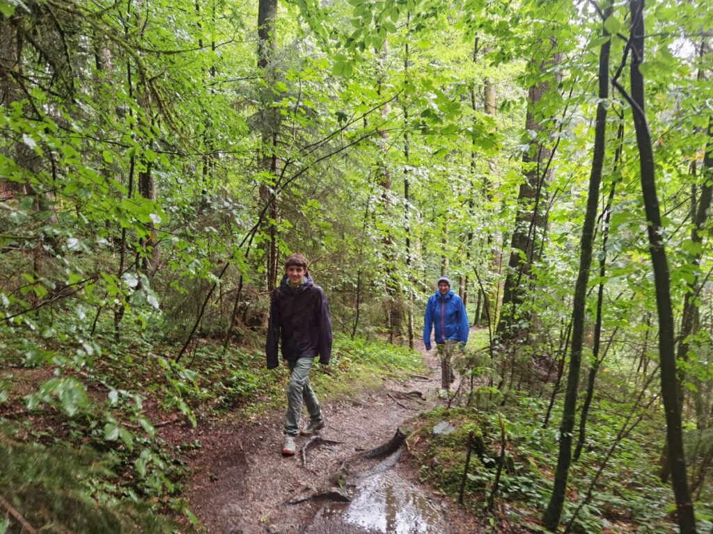 Hasenreuter Wasserfälle wandern - rund 5 Minuten dauert der kurze Wanderweg durch den Wald