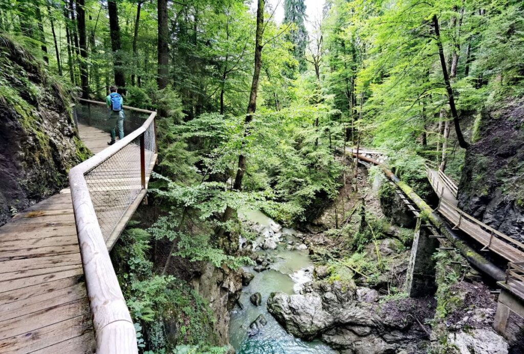 Statt Rohrachschlucht: Das ist der beeindruckende Weg durch die Rappenlochschlucht