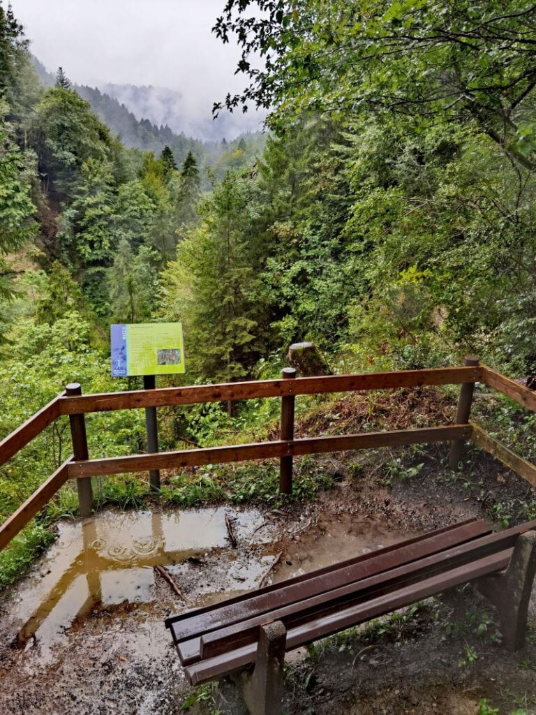 Blick von der Aussichtskanzel bei den Scheidegger Wasserfällen in die Rohrachschlucht