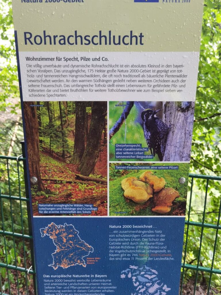 In der Rohrachschlucht wandern? Das geht nur bedingt - diese Schlucht ist nur im Bereich der Scheidegger Wasserfälle zugänglich