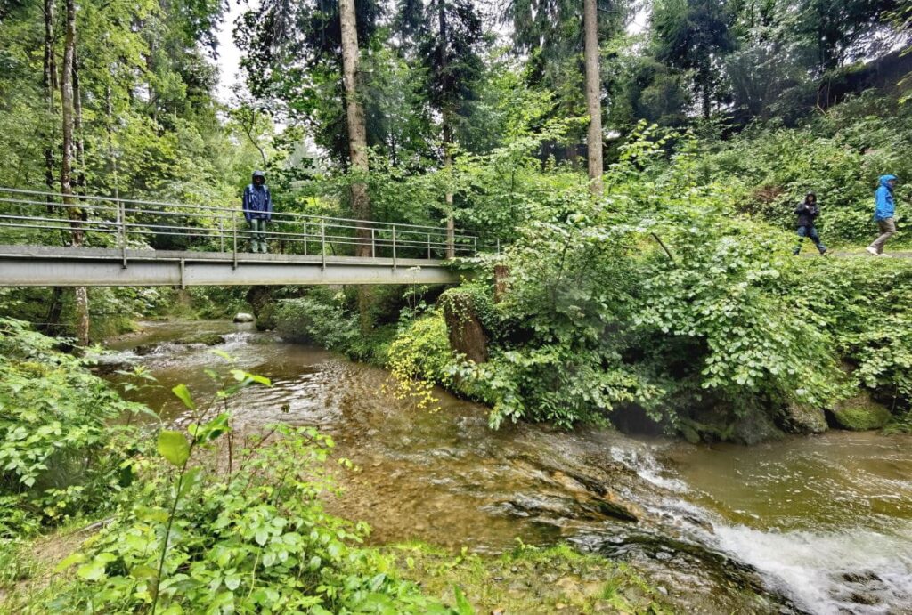Wildromantisch am Wasser wandern - auch das ist ein Teil der Scheidegger Wasserfälle Wanderung