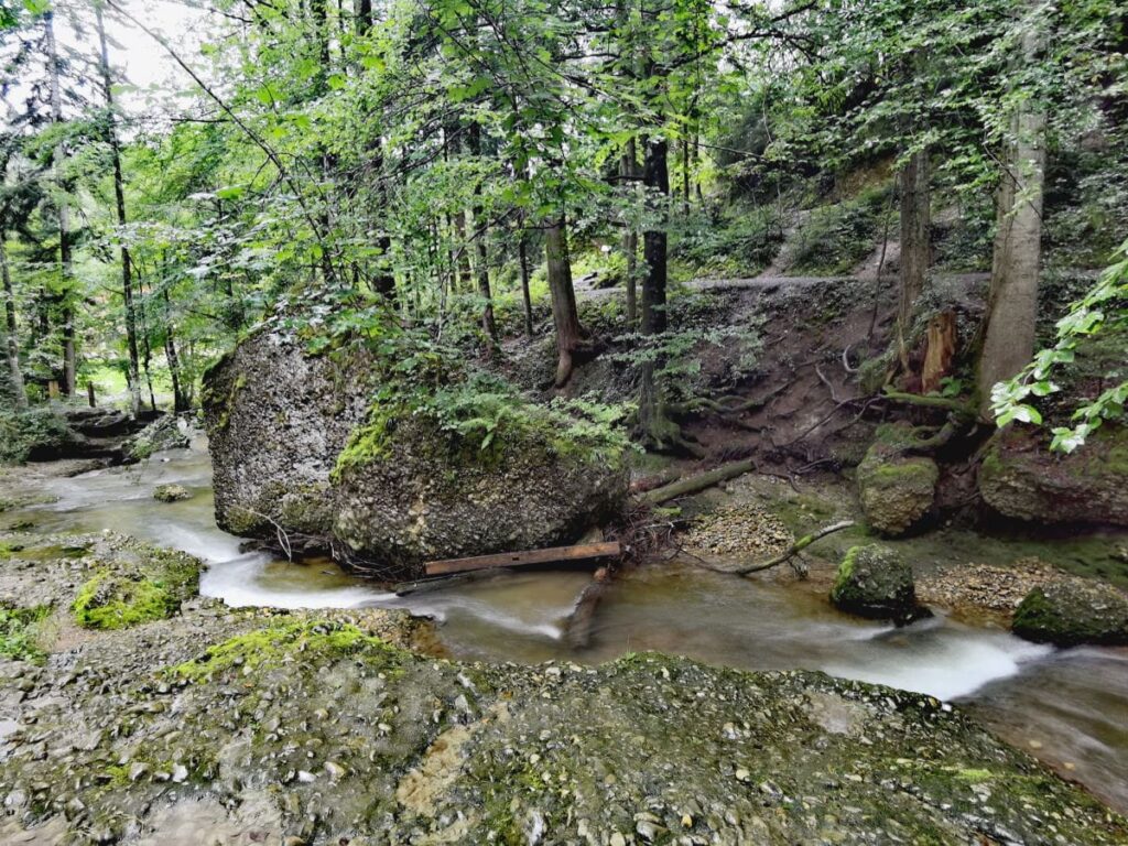 Zwischen den beiden Scheidegger Wasserfällen am Riedbach