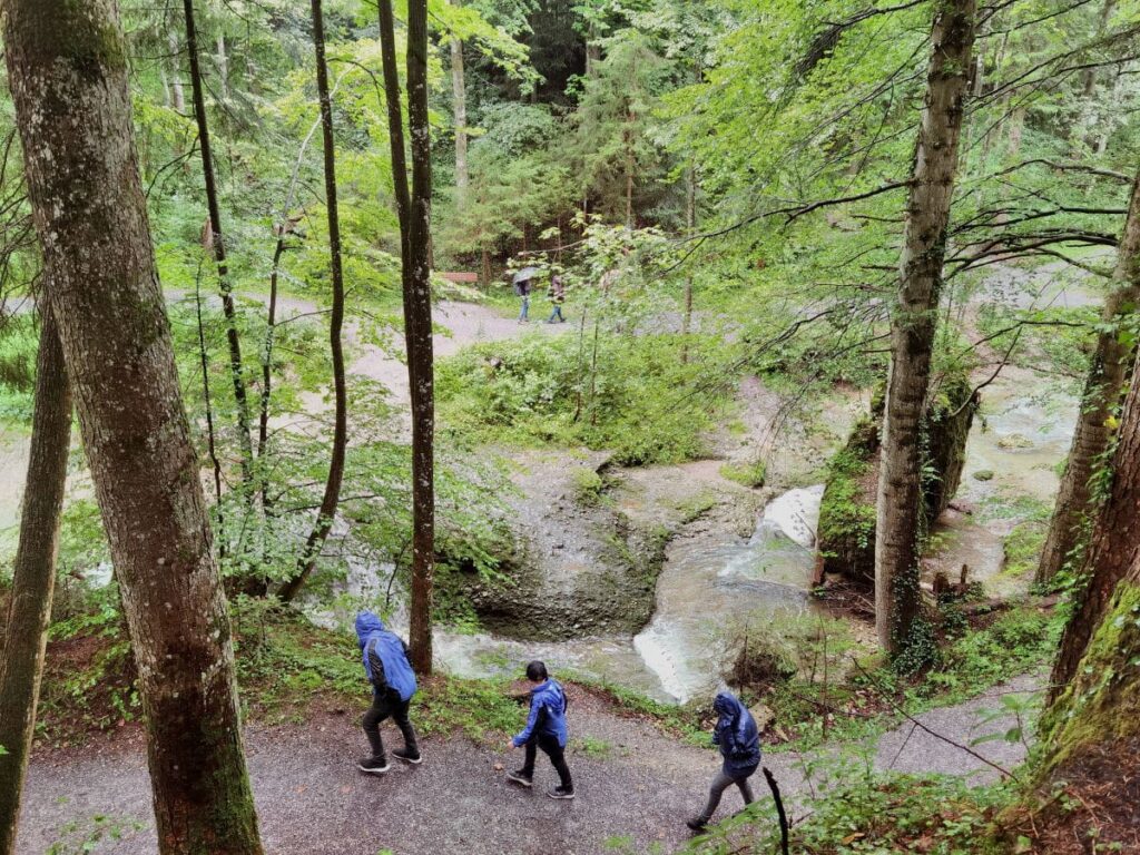 Entlang der Scheidegger Wasserfälle wandern - wir waren bei Regenwetter im Allgäu unterwegs