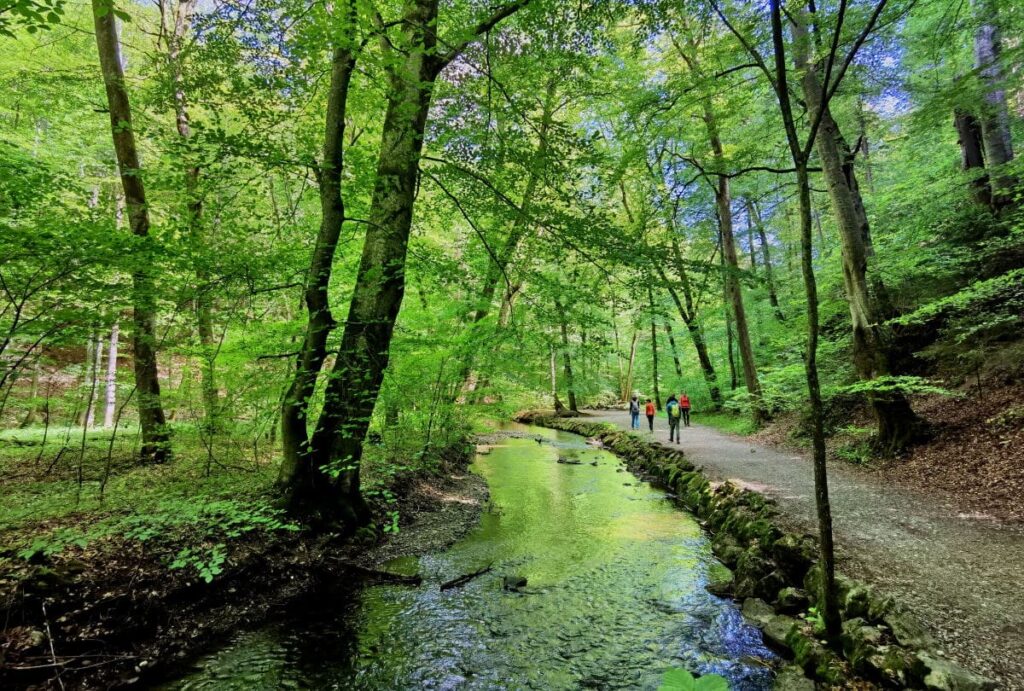 Naturwunder Maisinger Schlucht - Geheimtipp am Starnberger See