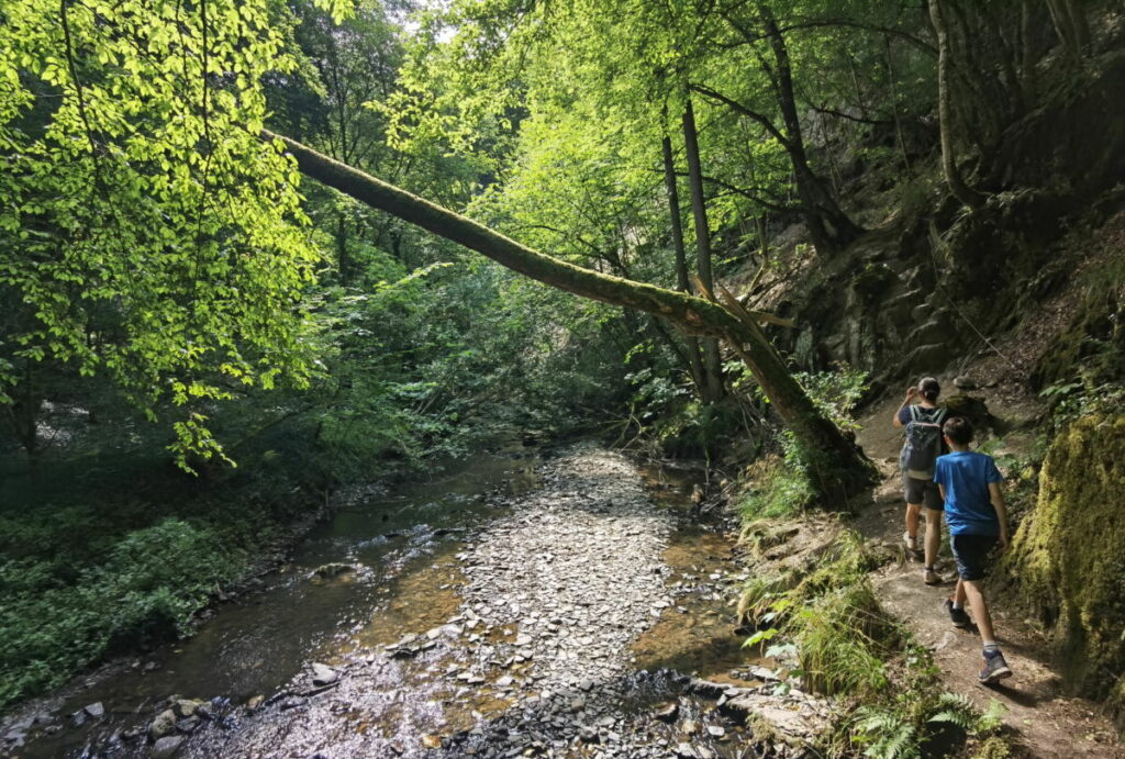 Naturwunder Deutschland - Idylle in der Baybachklamm