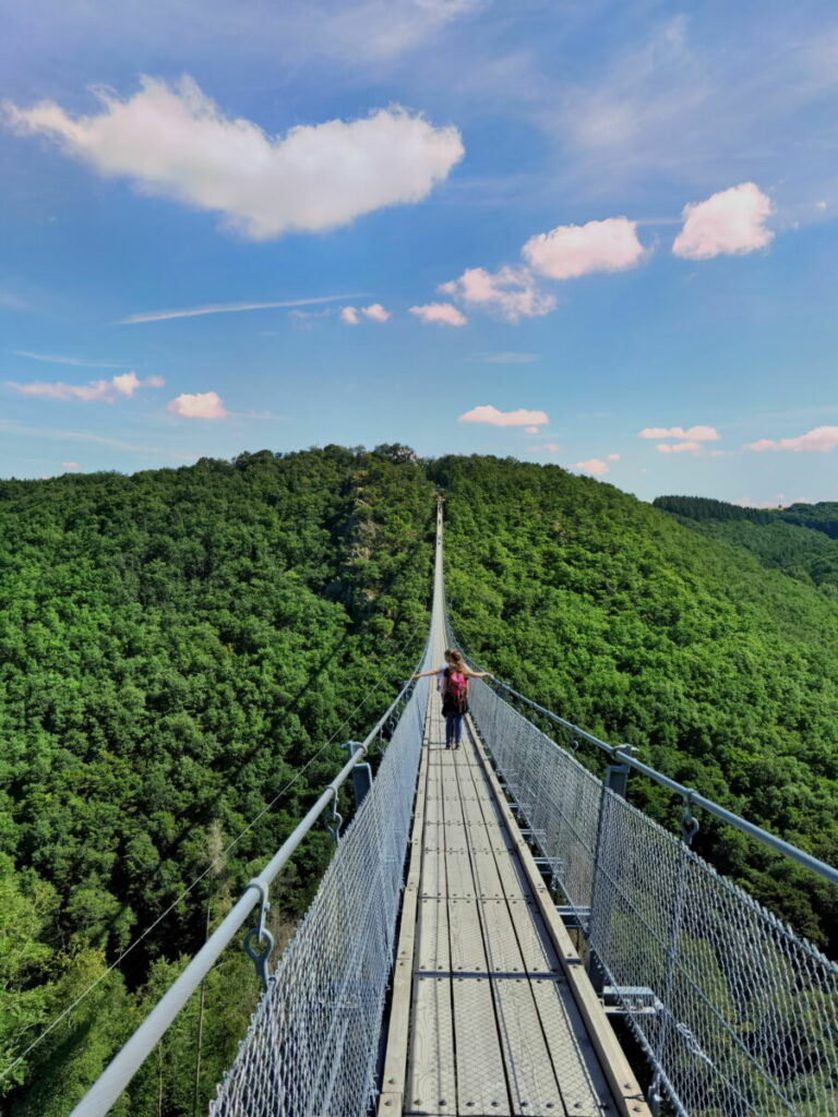 Der Blick über die Geierlaybrücke - ganz hinten am Horizont siehst du das Ende der Brücke