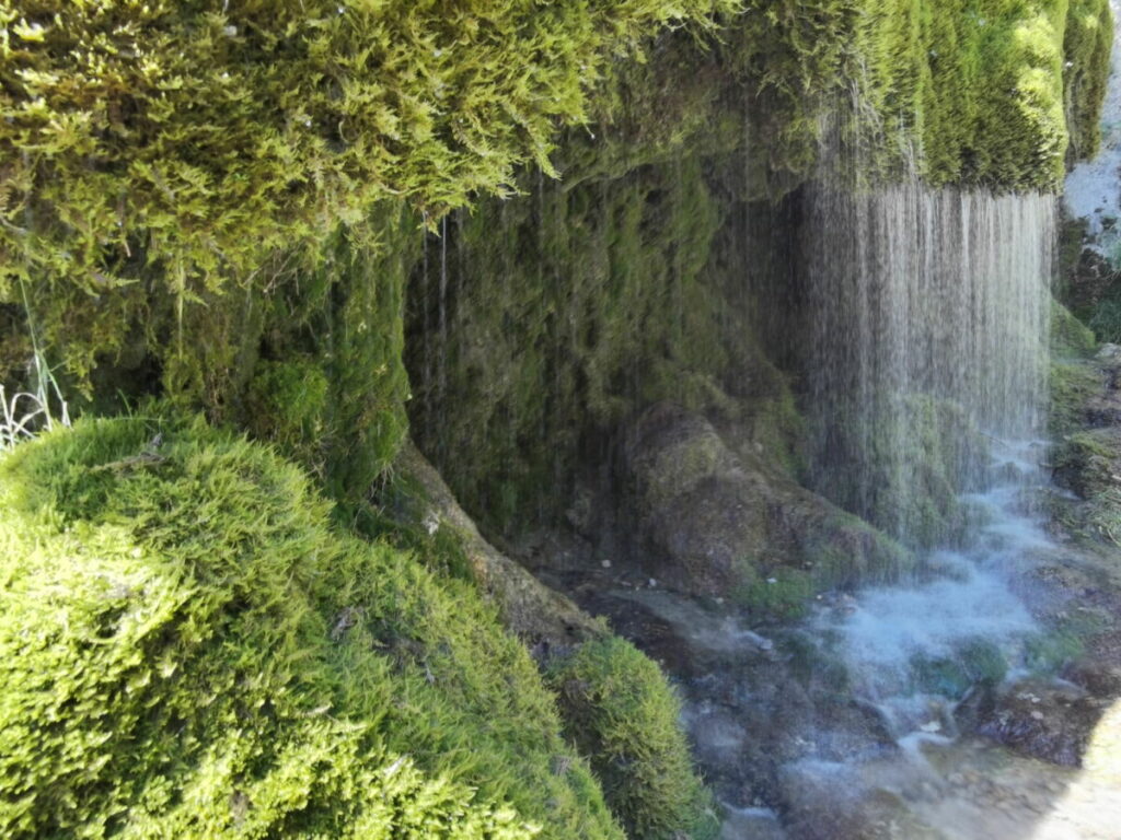 Naturwunder Dreimühlen Wasserfall in der Eifel