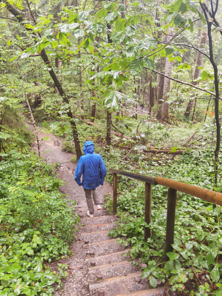 Scheidegger Wasserfälle