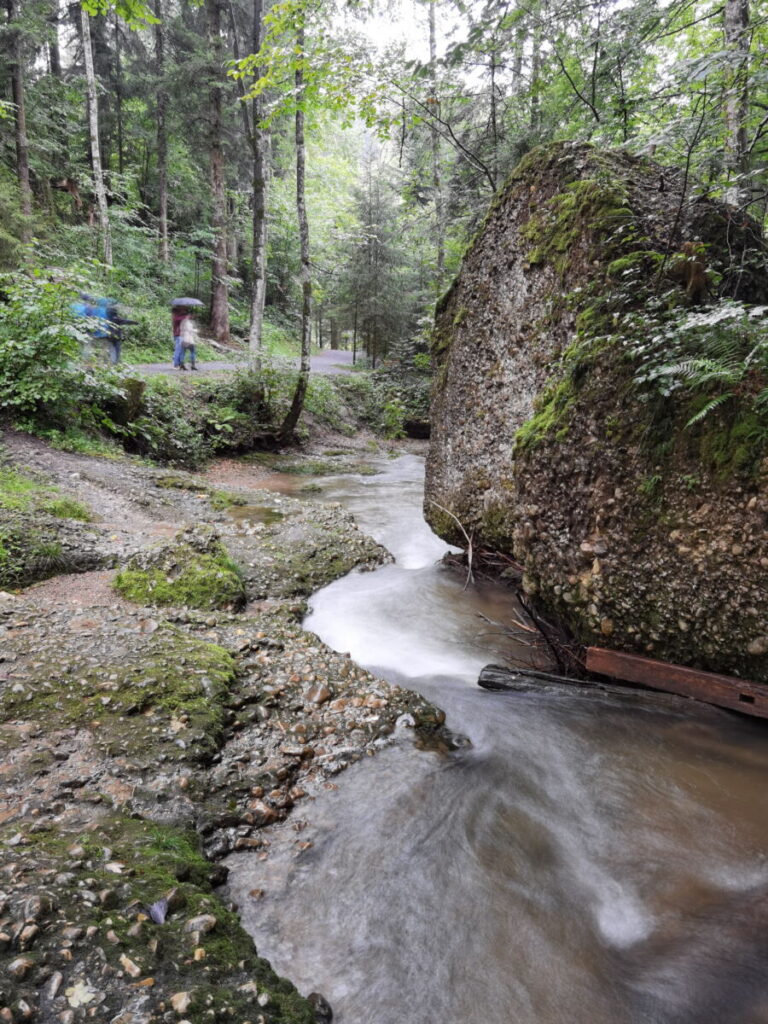 Scheidegger Wasserfälle