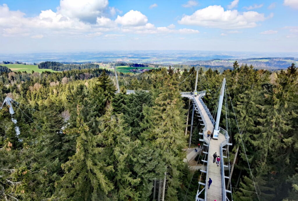 Den Skywalk solltest du nicht verpassen, wenn du in Scheidegg oder in der Umgebung bist