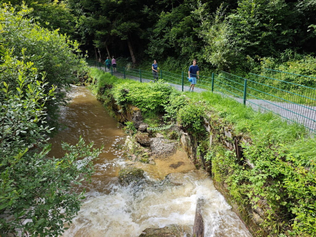 Scheidegger Wasserfälle Rundweg